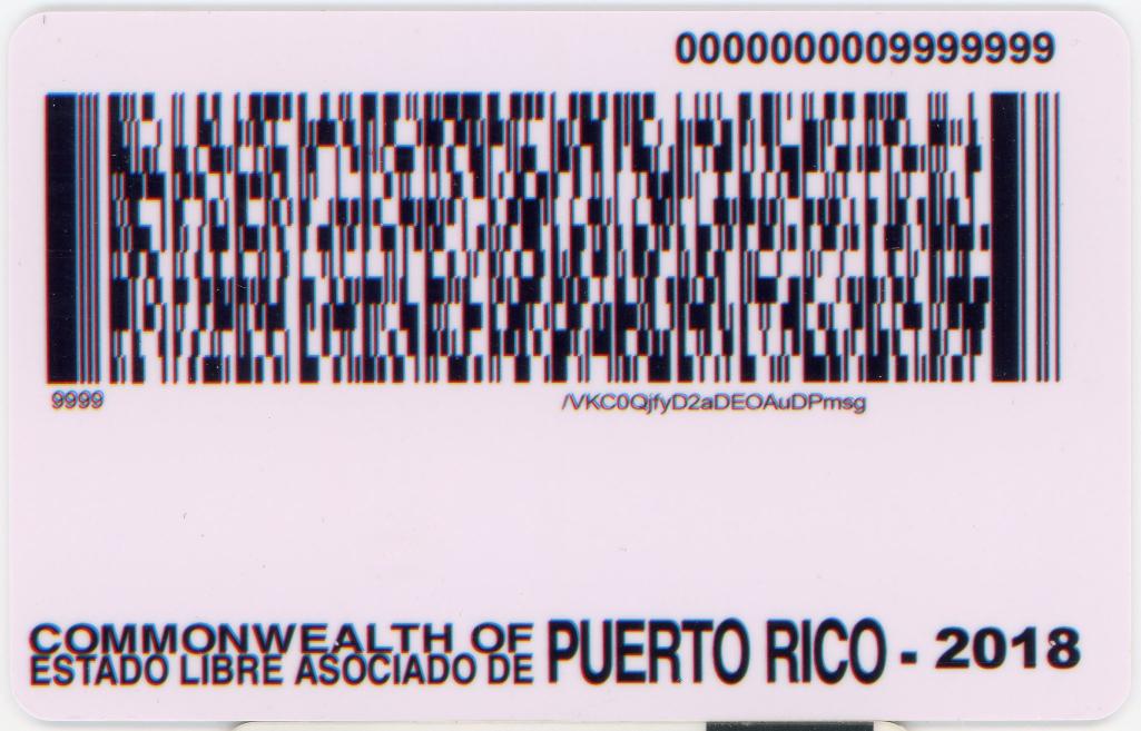 fake id for Puerto Rico back