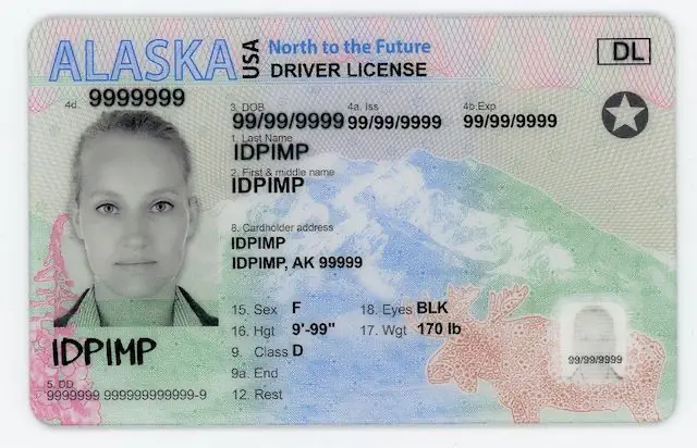 Behind the Curtain: Learning How to Make a Fake ID