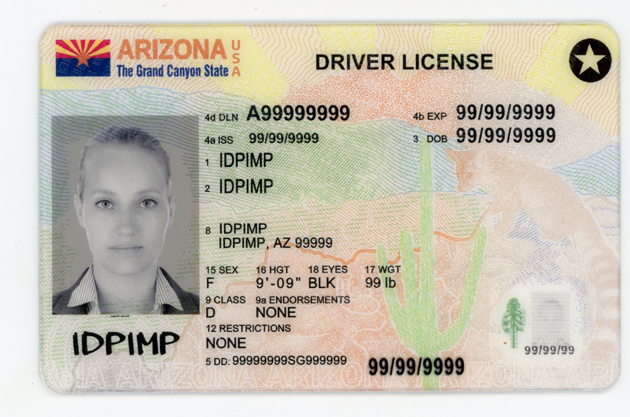 Premium fake Arizona ID front view