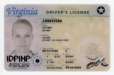 Virginia Fake ID
