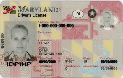Maryland Fake ID