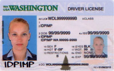 Washington Fake ID