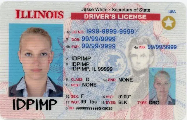 fake id for Illinois thumb