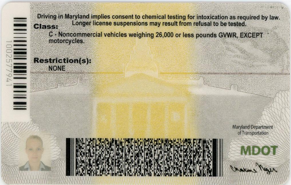 fake id for Maryland back thumb
