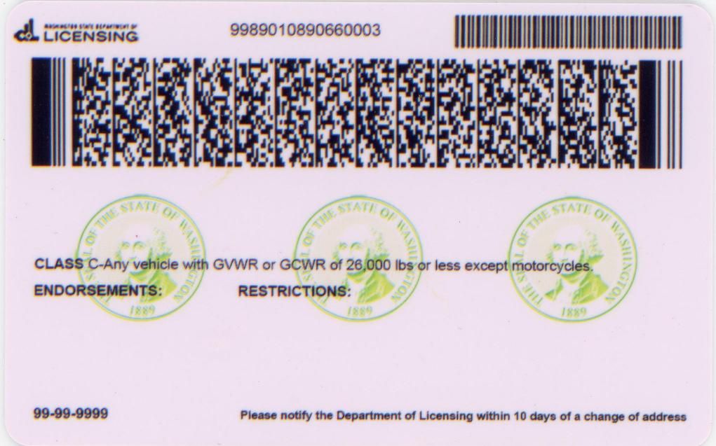 fake id for Washington back thumb